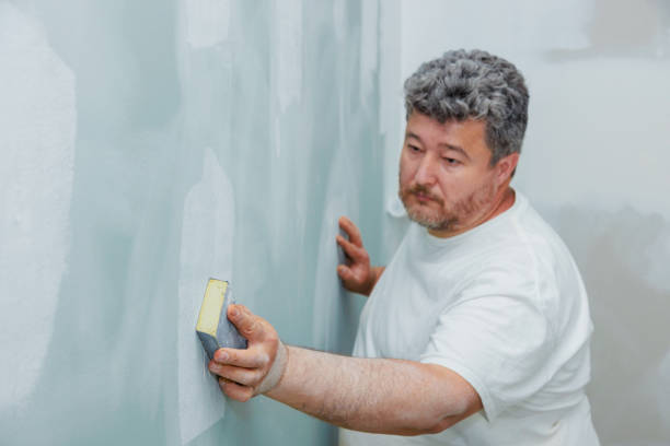 Best Drywall Crack Repair  in Leland Grove, IL